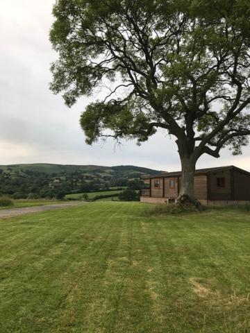 Redwood Lodge Ludlow Esterno foto