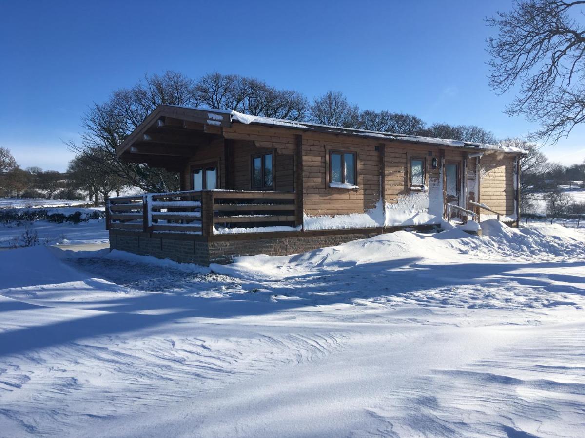 Redwood Lodge Ludlow Esterno foto