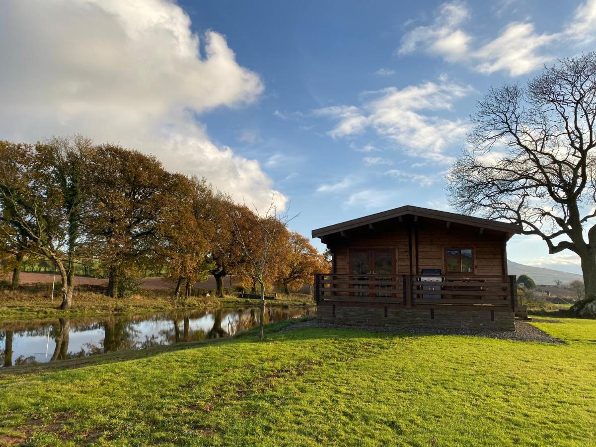 Redwood Lodge Ludlow Esterno foto